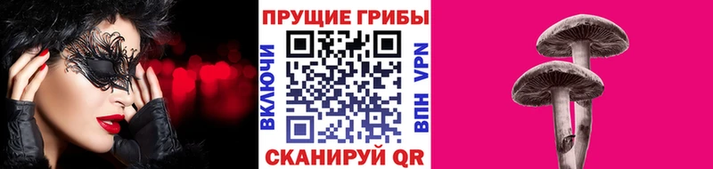 Галлюциногенные грибы Psilocybine cubensis  Чулым 
